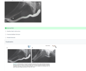 NEET-SS FNB MCh Urology Mcq Mock Exam Course