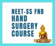 Neet ss Fnb hand surgery and micro surgery Mch mcq question bank mock exam course