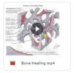 DNB MS Orthopaedics Master Course Theory and Practical v2